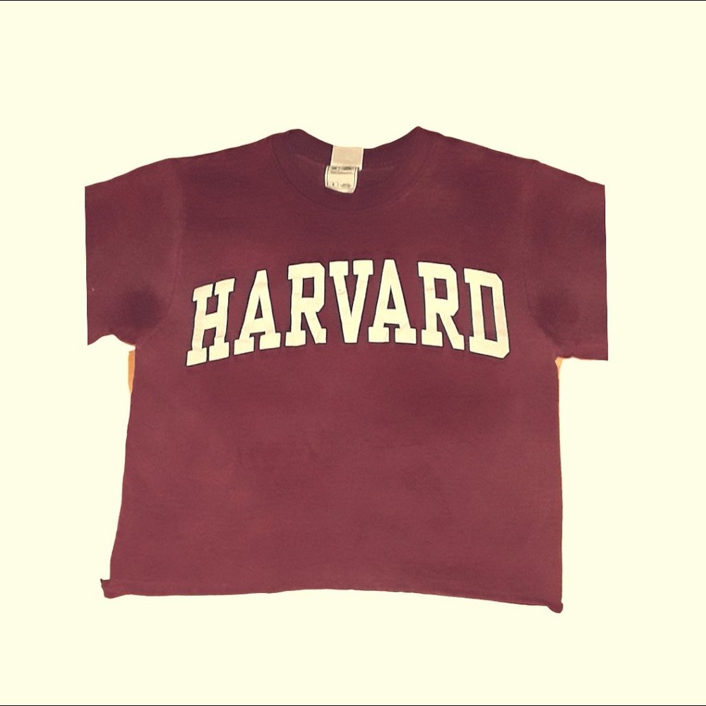 Harvard Tee Crop Top